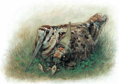 精灵【让-巴蒂斯·特蒙赫】