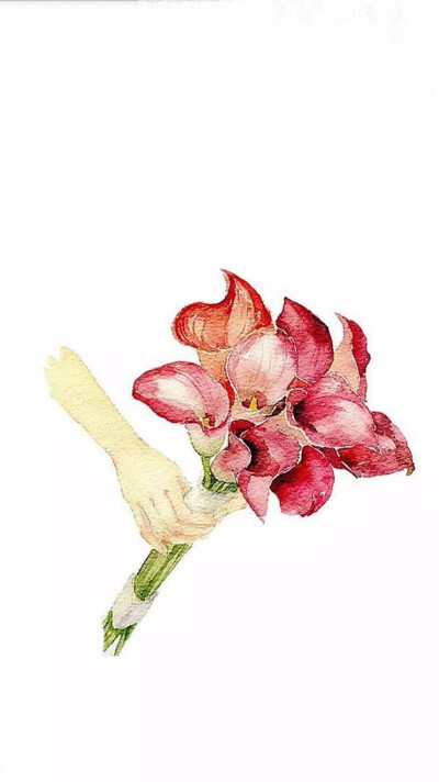 送给#八月#的你：愿久别的都重逢，愿有情的都相爱，愿孤独的不必再孤独。更多美图Q 1194594380