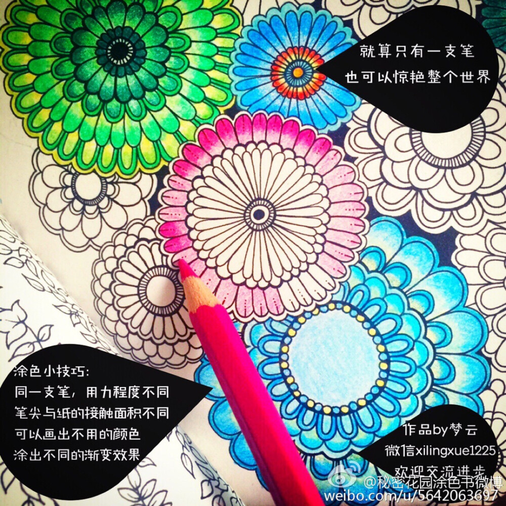 秘密花园。