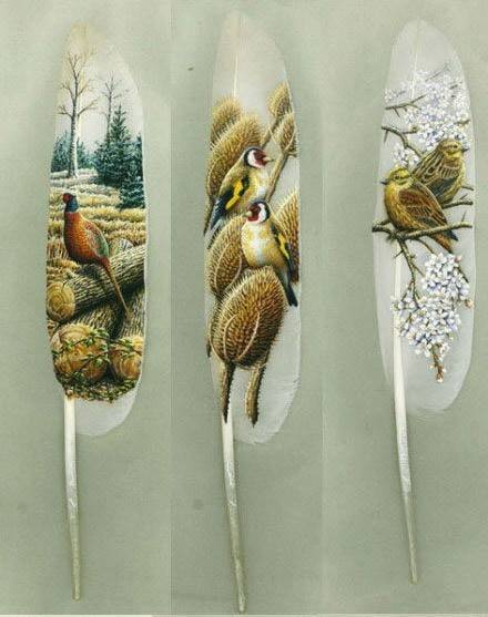 天鹅羽毛上的水彩