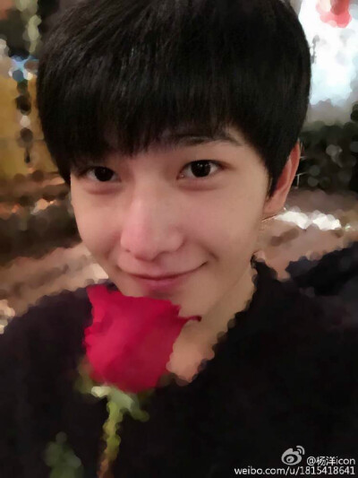 杨洋