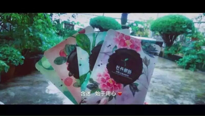 含谜：你想要的面膜
