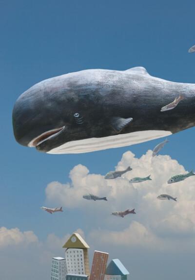 whale