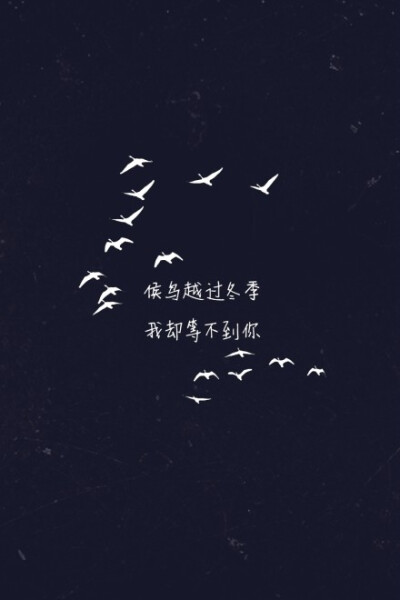 《浮生未歇》毕书尽