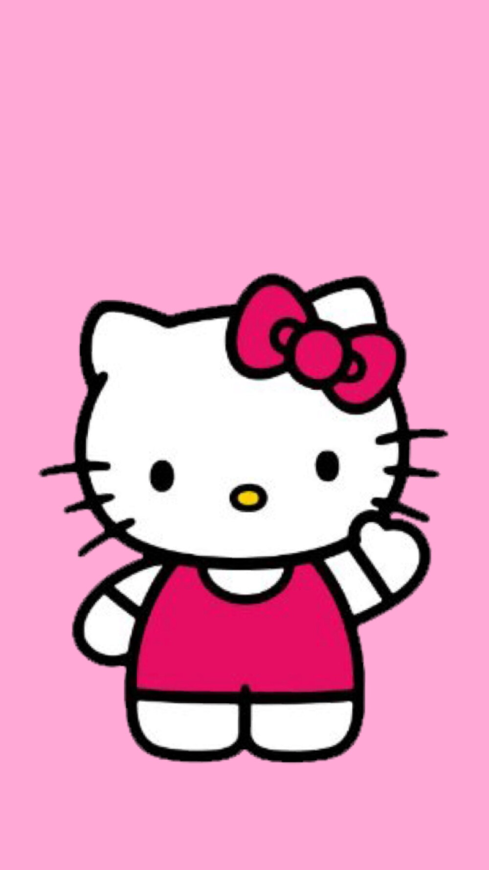 kitty是只胖猫咪~