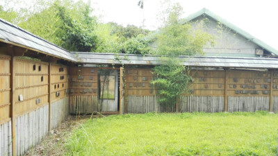 荒废的台湾花莲女高宿舍。我住的民宿就在附近，晚上路过的时候忍不住想起～女高怪谈。。。