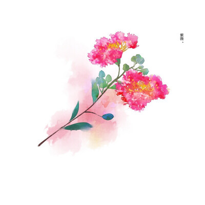 花鸟虫鱼