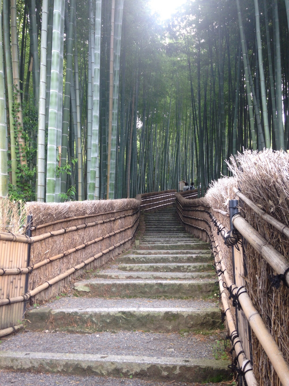 其实不管是天龙寺那边还是鸟本居这边…都有这样的竹林小径…额…感觉晚上会有妖怪蹦出来