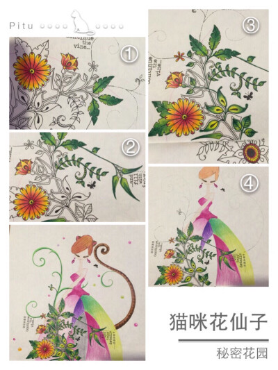 【秘密花园教程】猫咪花叶子.
