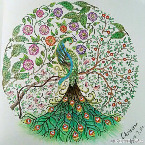 插画 -设计-动漫-植物-艺术-配色-涂色本-秘密花园-奇幻梦境-魔法森林-色彩方案-手绘-设计-色卡 -ColorView -配色-参考-素材