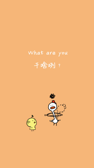 【小鸡和他的好朋友壁纸】——What are you干啥咧？   关注微信公众号@陈圈圈