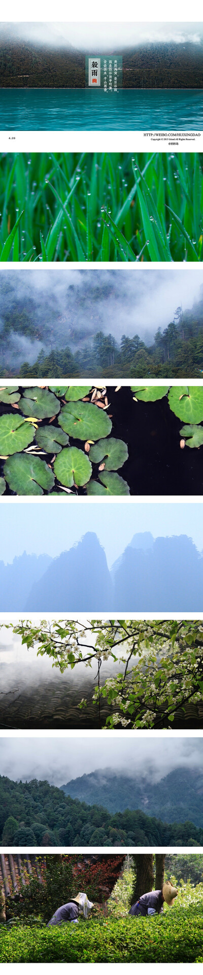 【二十四节气】庚辰丙寅，是日谷雨。雨生百谷清净明洁。一壶清水，半山茗香。 @ 回形岛