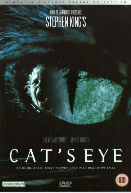 眼睛迷人摄影艺术美猫瞳兽瞳