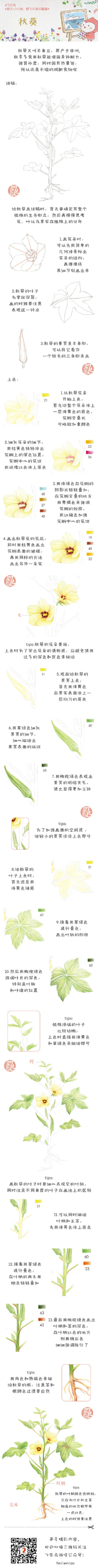 每天10分钟,跟飞乐鸟学画画-秋葵.做手账素材也不错哦.出自-飞乐鸟.