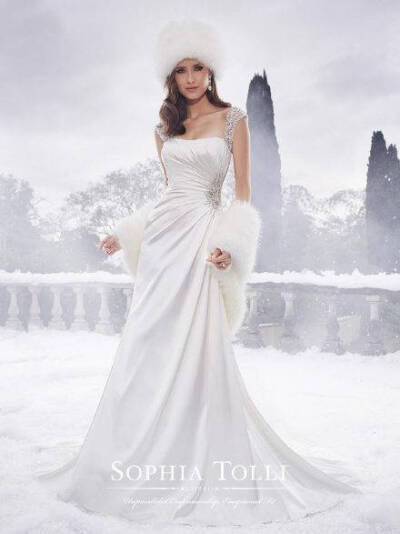 Sophia Tolli 2015 AW Bridal Collection——冰雪中的嫁衣