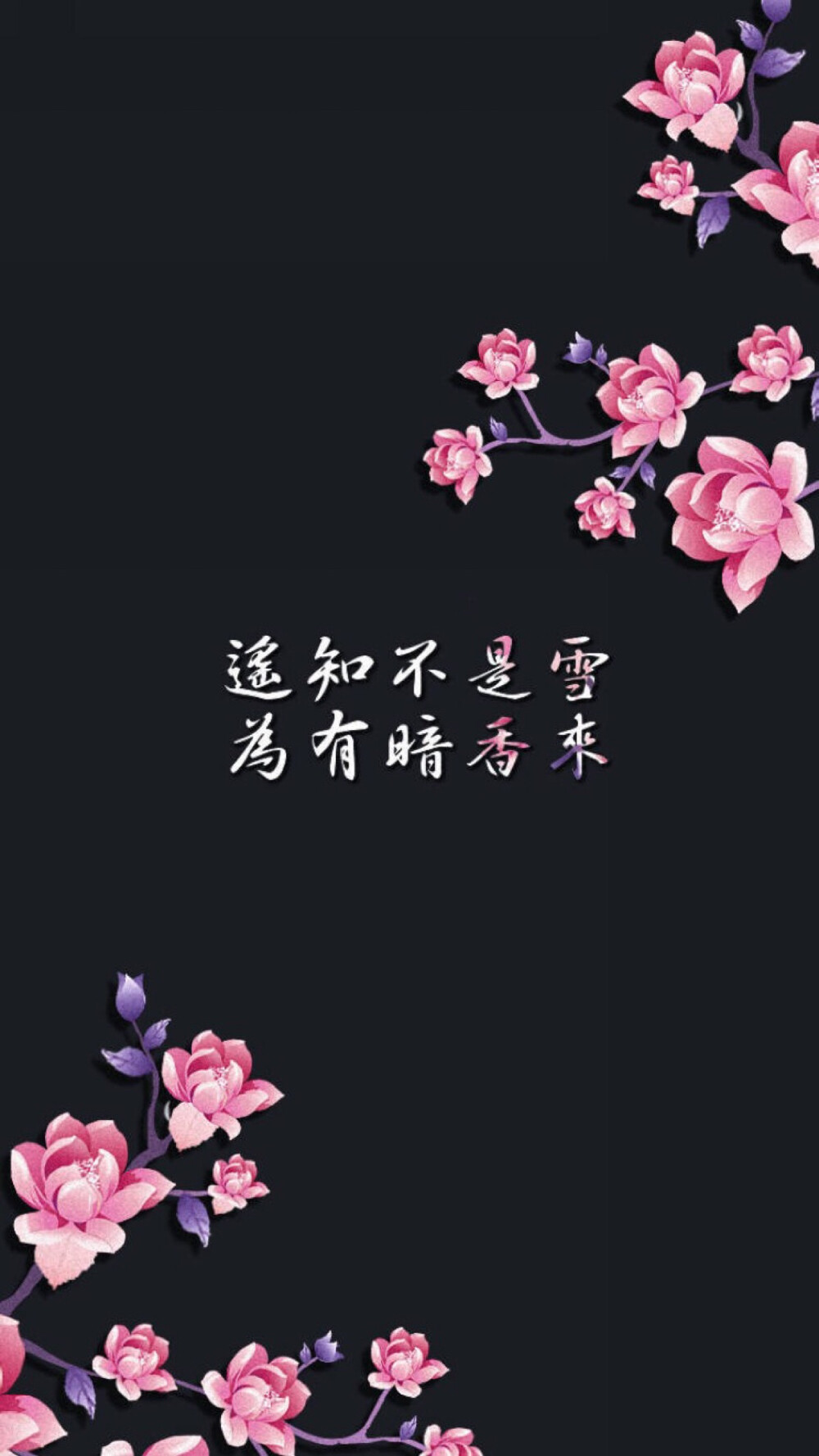 遥知不是雪 为有暗香来