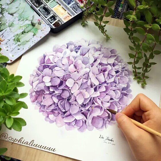 水彩 手绘 花