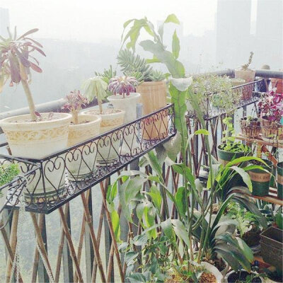 铁艺栏杆花架 直接卡在栏杆上的花架，在节省空间的同时还能够帮助你收纳很多的花盆，简洁又大方的一款花架，简直就是居家必备之品