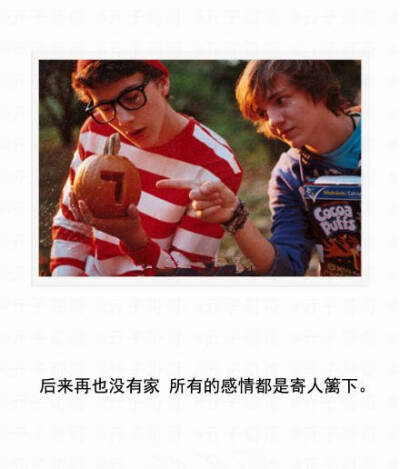 后来再也没有家，所有的感情都是寄人篱下。@刘清新