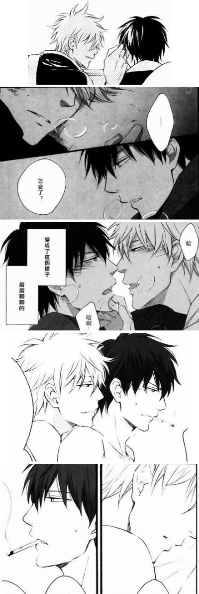 绝逼腐