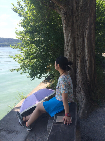 相思树下说相思，思君，恨君，君不知。