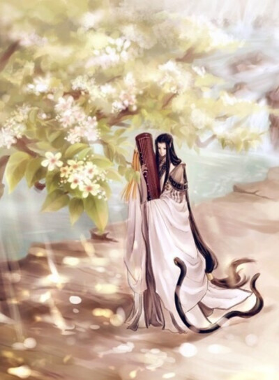 琴师美男子