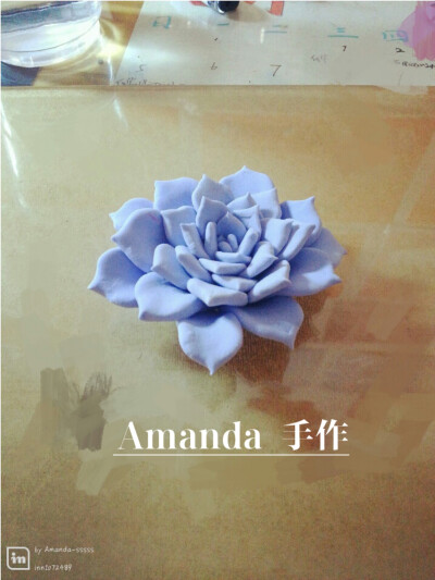 粘土多肉 Amanda手作 请关注微博Amanda_sssss