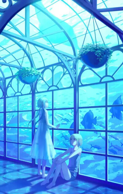 水族馆里治愈人心的海洋生物♪