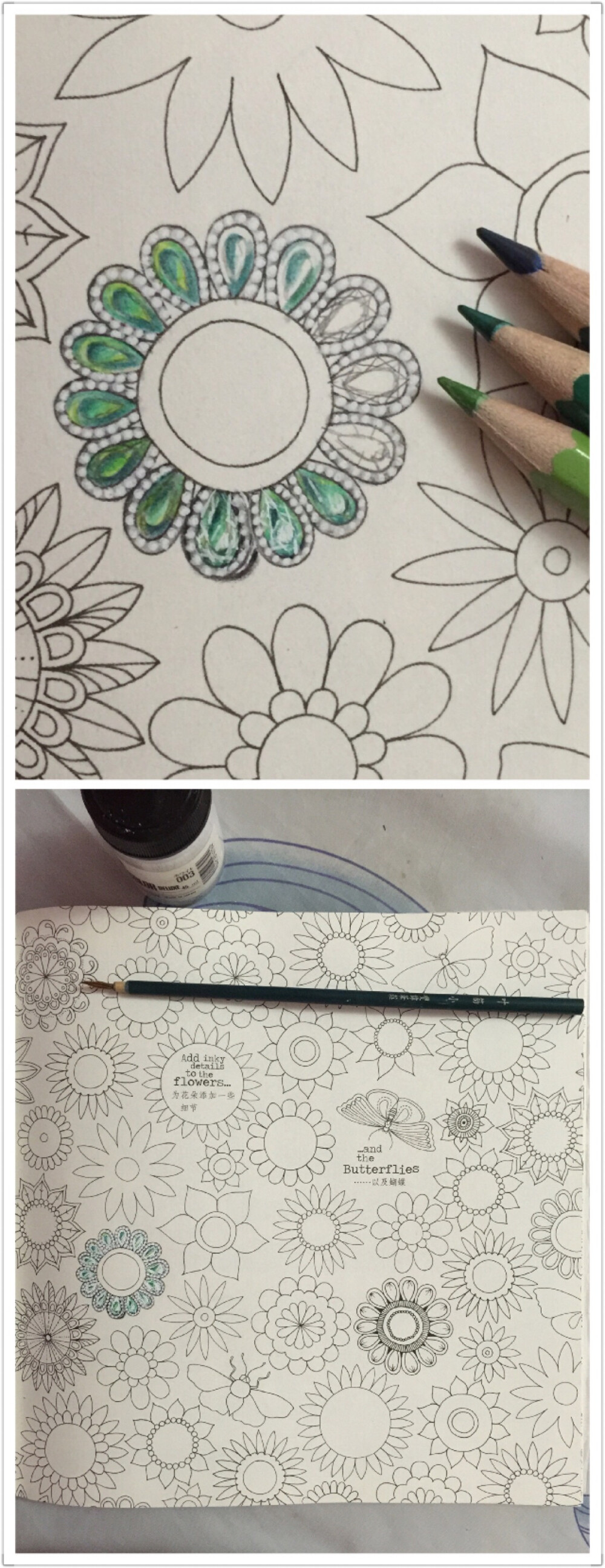 #秘密花园#发这张的目的是证明自己真的有努力想画宝石的，可是还是觉得好麻烦，没耐心画完！