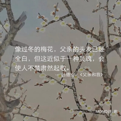 吕德安 《父亲和我》