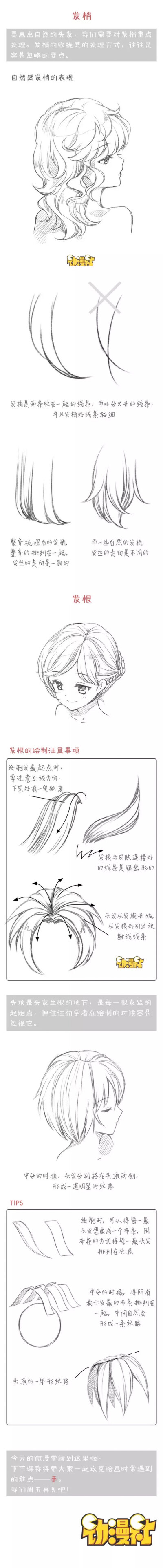 初学者漫画教程头发图片