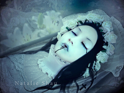 Natalie shau