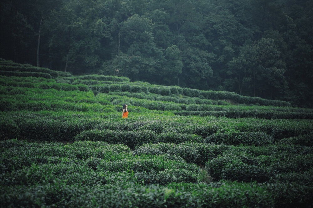 摄影 风景 环境人像