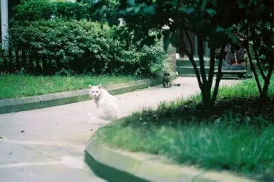 祝你有梦为马，永远有处可栖