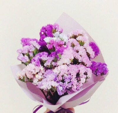 紫色牛皮纸花束