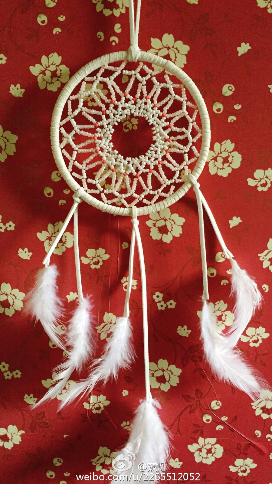 捕梦网（dreamcatcher）是北美奥吉布瓦人的文化中一种手工艺品，使用柳树来做框，中间编织著松散或紧密的网。奥吉布瓦人相信挂上捕梦网能够“捕捉”好梦，阻挡恶梦。捕梦网有祈求平安并带来好运之意义，并可驱除恶梦，让人美梦入睡。