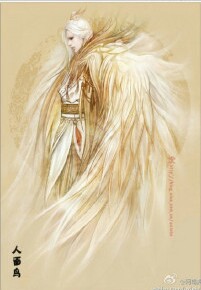 人面鸟，泥真的不系天屎(鸟人？！)？