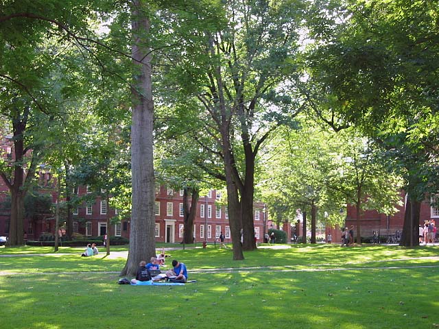 【哈佛大学】庭院，草地