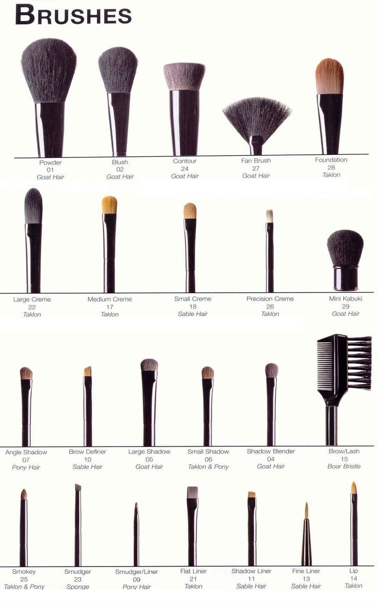 A Complete Picture Guide To Beauty Make Up Brushes - DIY