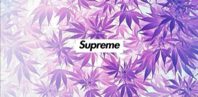 Supreme