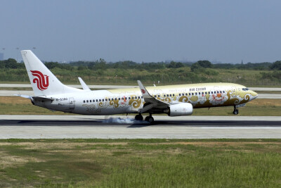 国航B737-800金牡丹