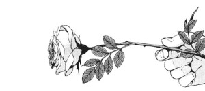 在陆地的人总是想看见海，在海里的人总是想遇见岛，在岛上的人总是想去陆地。