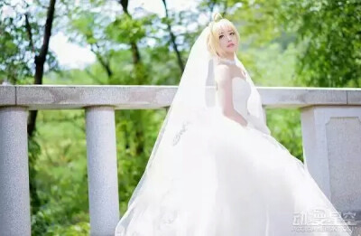 极致唯美婚纱saber cos saber身着纯白的婚纱，手捧蓝白娇艳的花朵，几乎可以成为完美的治愈笑容，直戳你我春心！韩国螺旋猫COS团体的tomia活生生再现了saber的完美身影。