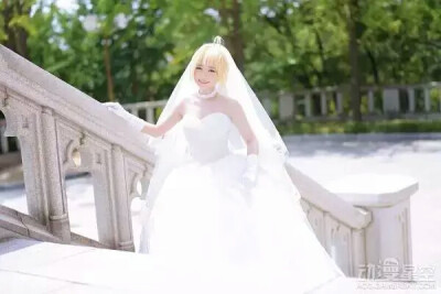 极致唯美婚纱saber cos saber身着纯白的婚纱，手捧蓝白娇艳的花朵，几乎可以成为完美的治愈笑容，直戳你我春心！韩国螺旋猫COS团体的tomia活生生再现了saber的完美身影。