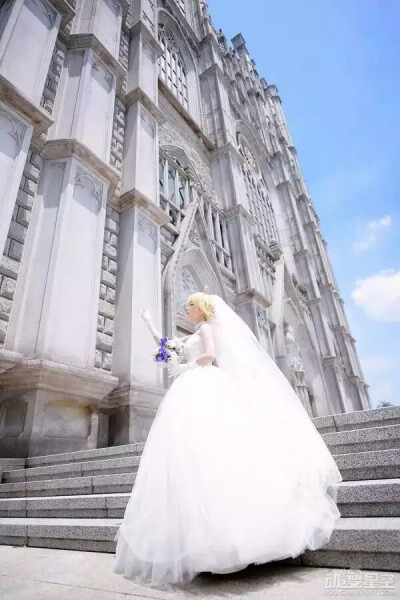 极致唯美婚纱saber cos saber身着纯白的婚纱，手捧蓝白娇艳的花朵，几乎可以成为完美的治愈笑容，直戳你我春心！韩国螺旋猫COS团体的tomia活生生再现了saber的完美身影。