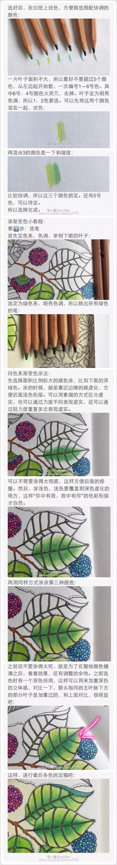 秘密花园 花朵树叶渐变色 配色涂色步骤教程 转自微博