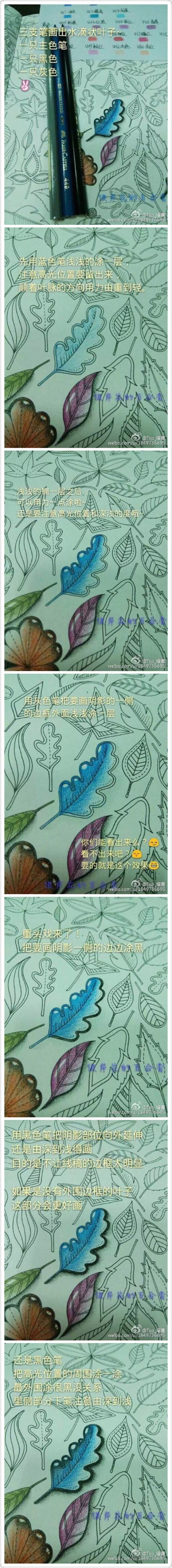 秘密花园 渐变水滴树叶阴影 配色涂色教程 转自微博