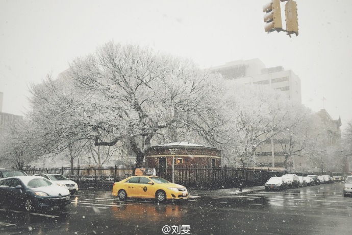 二月二，一起到纽约来看雪！