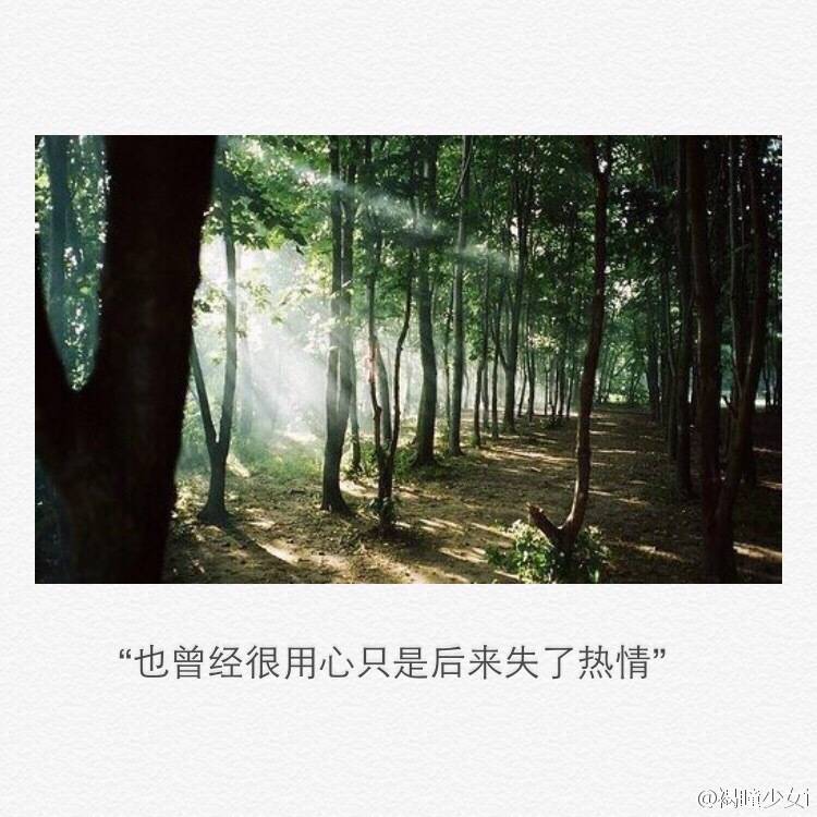  后来都失了热情