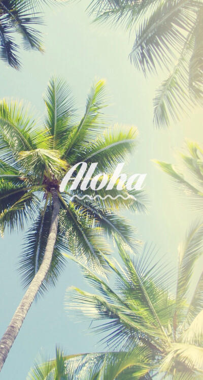 适合夏天的壁纸